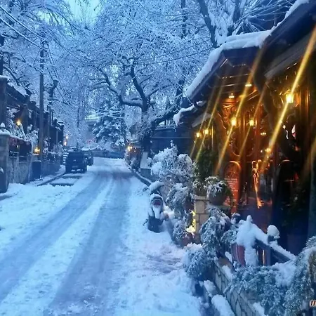 αρχοντικό παπανικολάου 빌라 Pýli