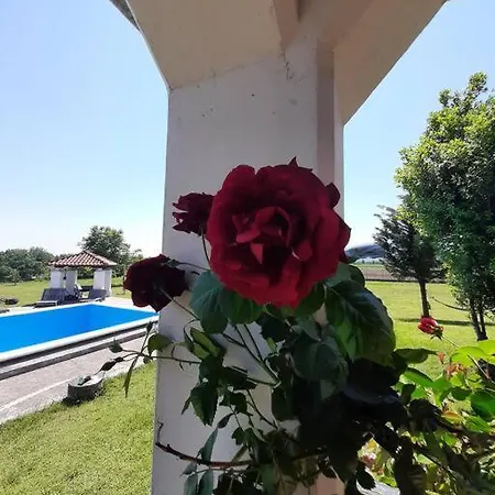 αρχοντικό παπανικολάου 빌라 Pýli